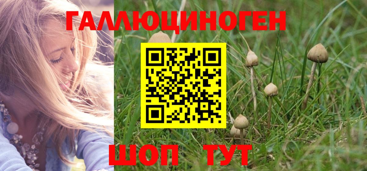 Чусовой  Галлюциногенные грибы Psilocybine cubensis  Вход с VPN  Галлюциногенные грибы Psilocybine cubensis 